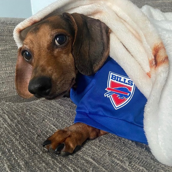 Meet your Posher - Picture 1 of 3